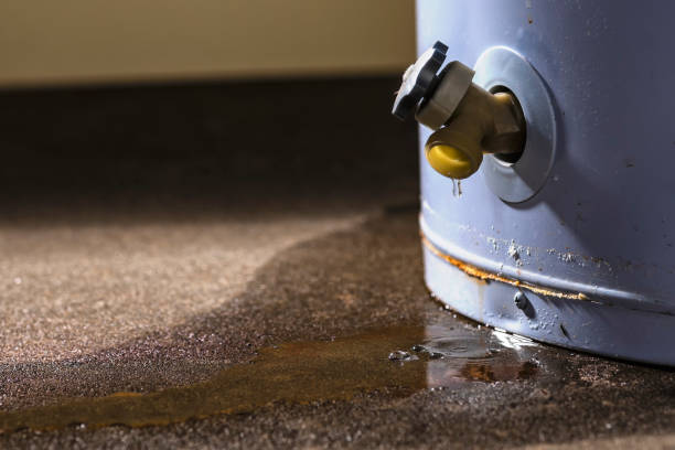 Best Water damage cleanup near me  in Lakeland, NY