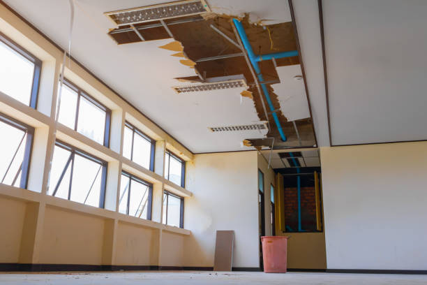 Best Water damage restoration near me  in Lakeland, NY