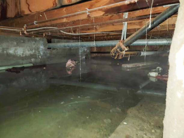Best Flooded house restoration  in Lakeland, NY