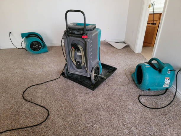 Best Sewage cleanup and water damage restoration  in Lakeland, NY
