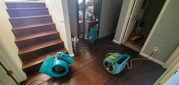 Best 24-hour water damage restoration  in Lakeland, NY