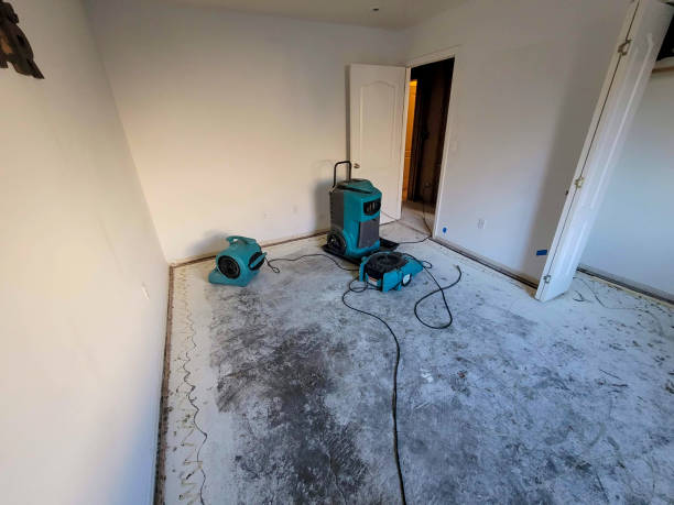  Lakeland, NY Water damage restoration Pros