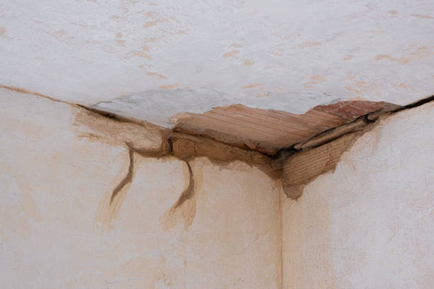 Best Carpet water damage restoration  in Lakeland, NY