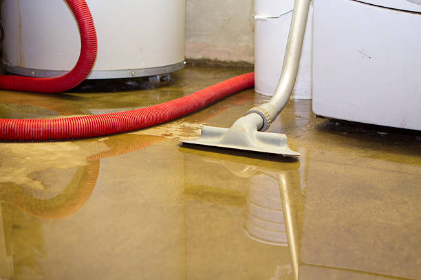 Best Water damage restoration company  in Lakeland, NY