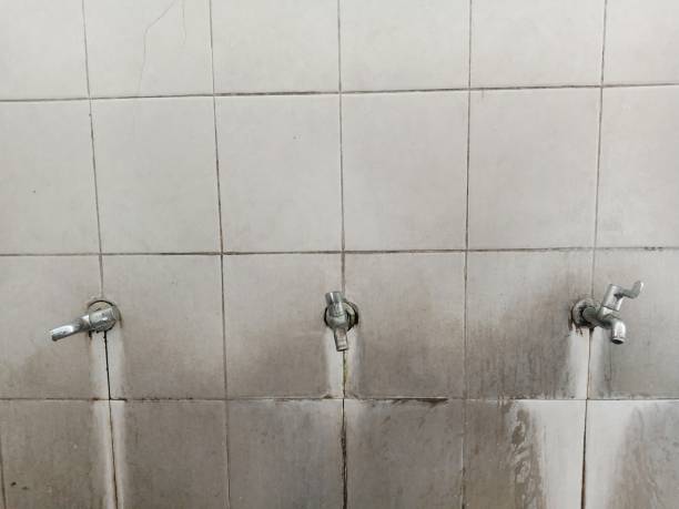 Best Sewage cleanup and water damage restoration  in Lakeland, NY