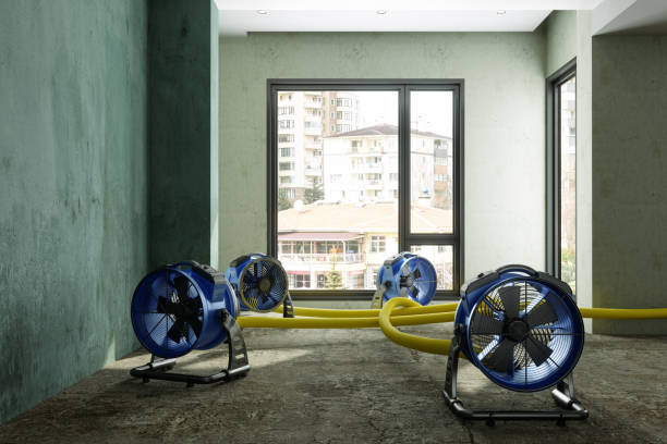 Best Water damage contractors near me  in Lakeland, NY